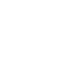 icons8-dollar-coin-100